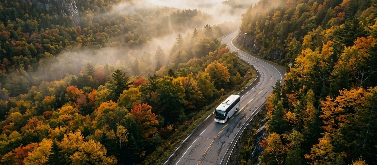 Автобус у дорозі